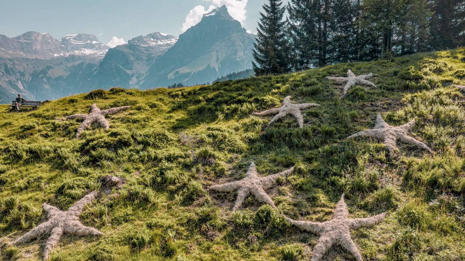 Kultur & Natur Wanderung | Samstag – Bild 2