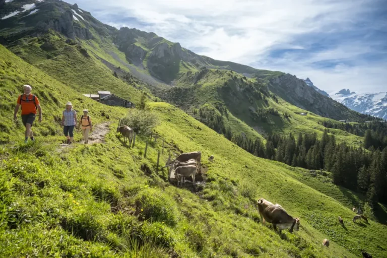 Erste Hilfe auf deiner Bergtour | Samstag